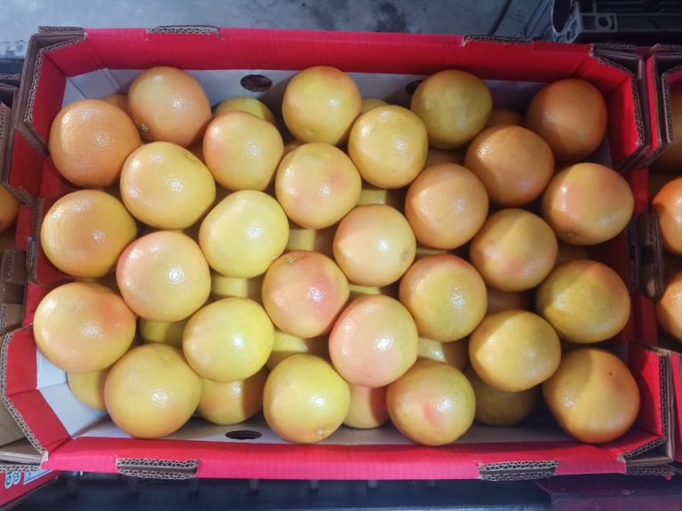 Pink-blushed grapefruit packed tightly into an open red carton