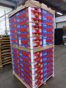 A strapped pallet of grapefruit in the new Elsahn cartons, tagged size 45