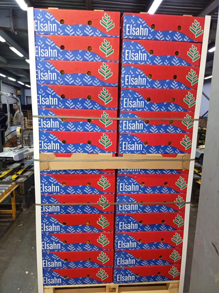 A pallet of the new red and blue Elsahn cartons in the packhouse