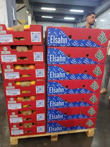 Pallets of grapefruit in the new Elsahn cartons beside the previous red cartons
