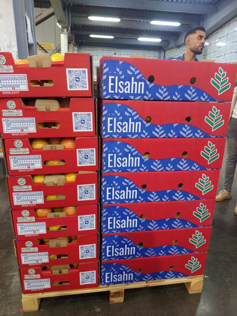 Pallets of grapefruit in the new Elsahn cartons beside the previous red cartons