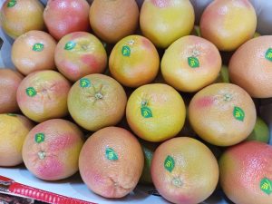 Egyptian grapefruit with pink-blushed peel, each carrying an Elsahn Greens label