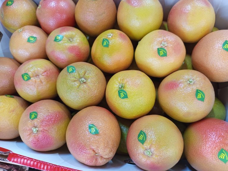 Egyptian grapefruit with pink-blushed peel, each carrying an Elsahn Greens label