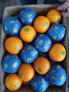 Oranges alternating with fruit in blue Elsahn Greens wraps in an export carton