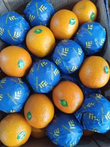 Close view of labelled oranges beside fruit in blue Elsahn Greens wraps