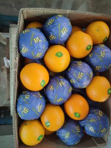 Oranges packed alongside fruit in purple Elsahn Greens wraps in a brown carton