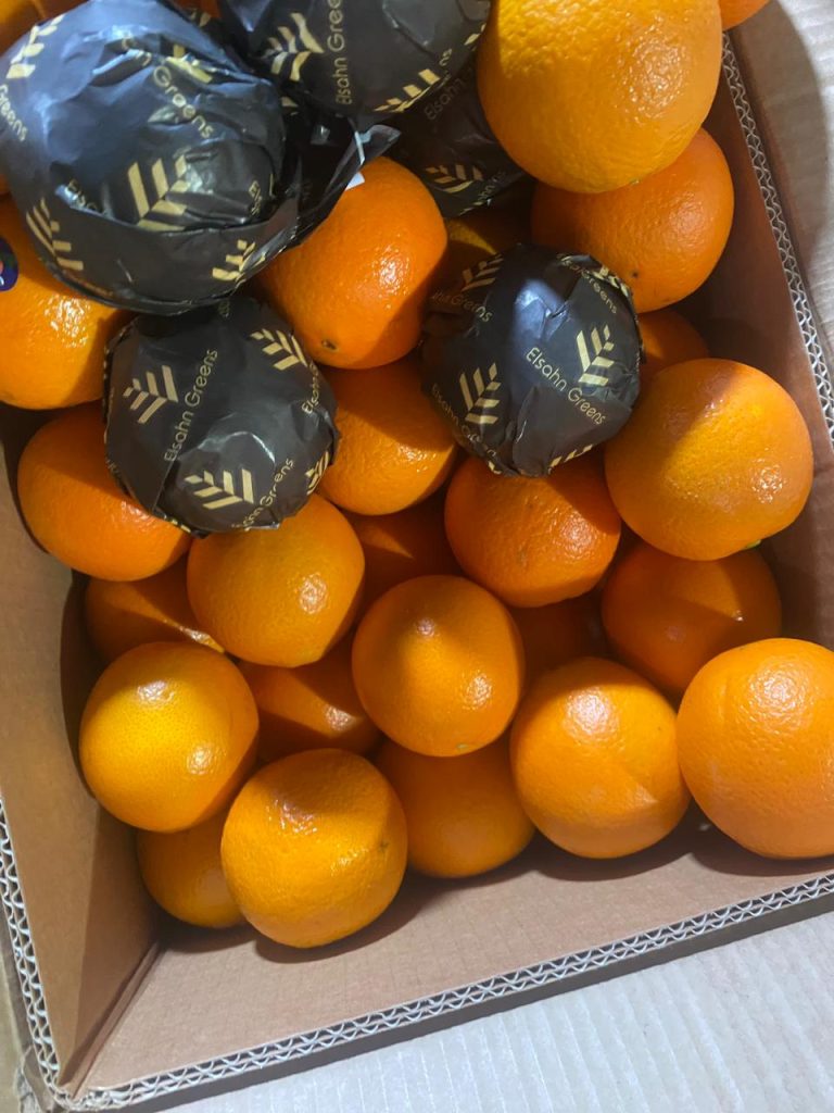 Egyptian oranges packed for export, several in black and gold Elsahn Greens wraps