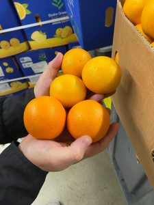A hand holding five oranges in front of stacked Elsahn Greens cartons marked Origin Egypt