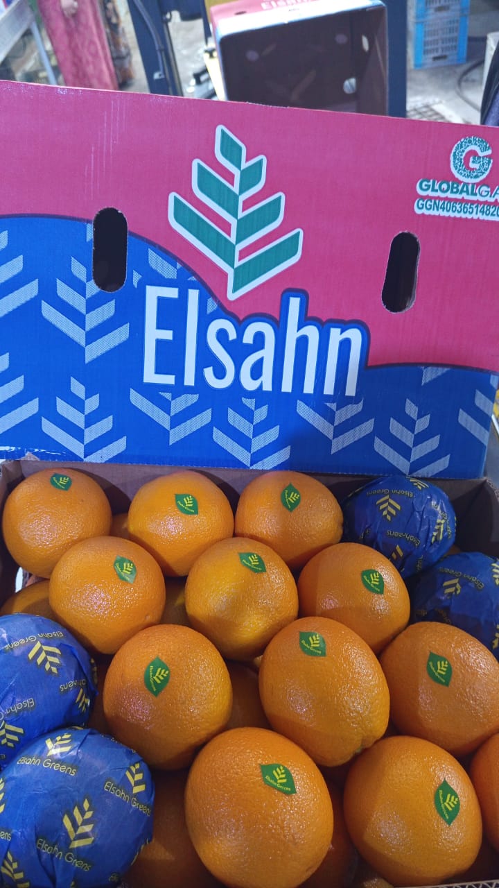 Oranges with Elsahn Greens leaf stickers, packed beneath the lid of an Elsahn carton